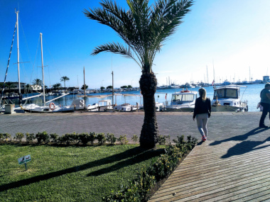 Hafen Alcudia