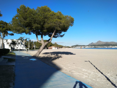 Mallorca Alcudia Strand